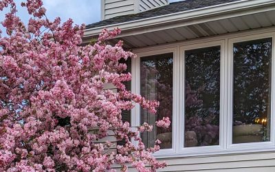 The Home Improvement Meaning | More Than Just Your House