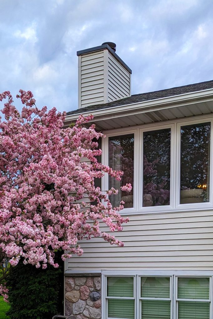 home improvement meaning